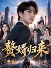赘婿归来封面